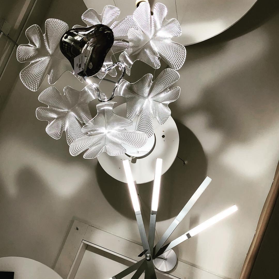 Chlorophilia Chandelier-Sylvia Space