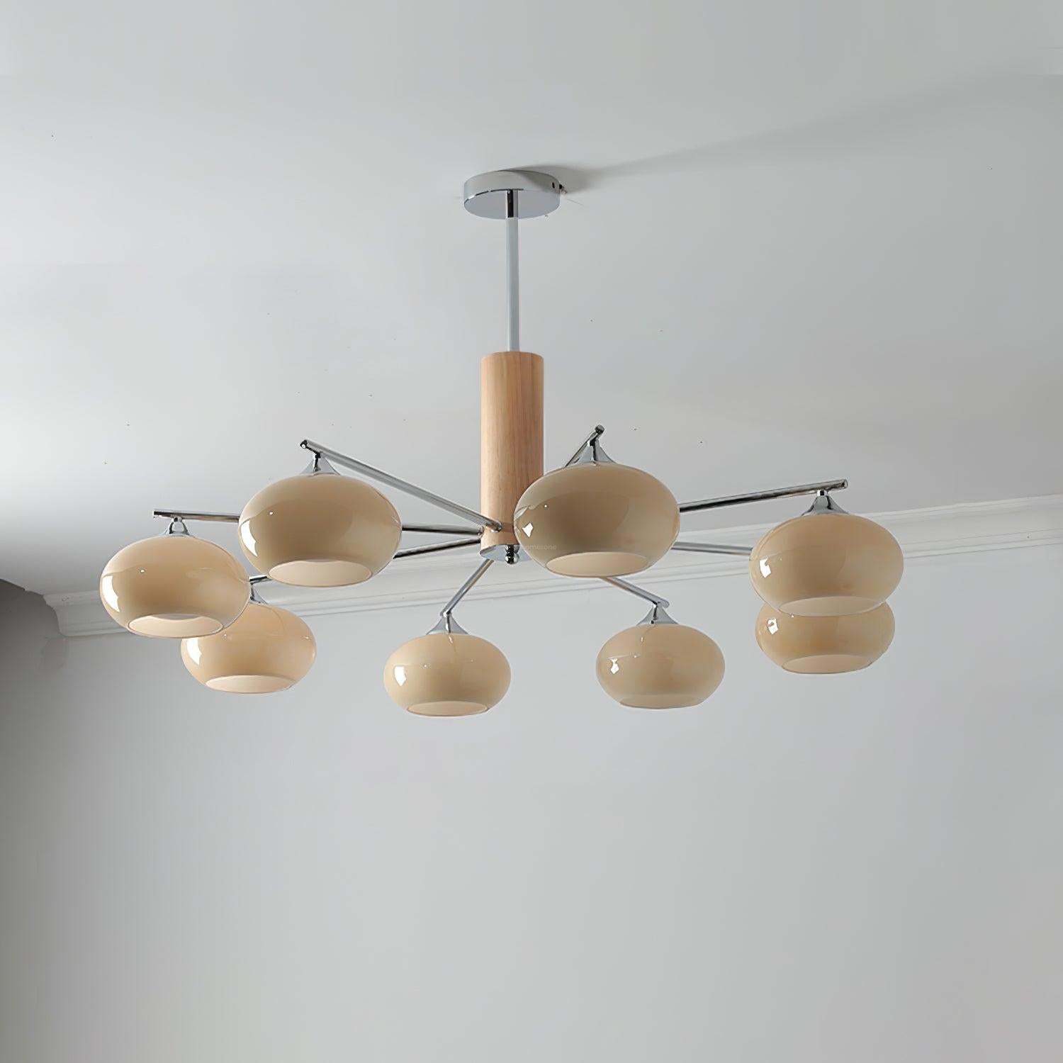 Elliptical Persimmon Chandelier with 3/6/8 heads-Sylvia Space