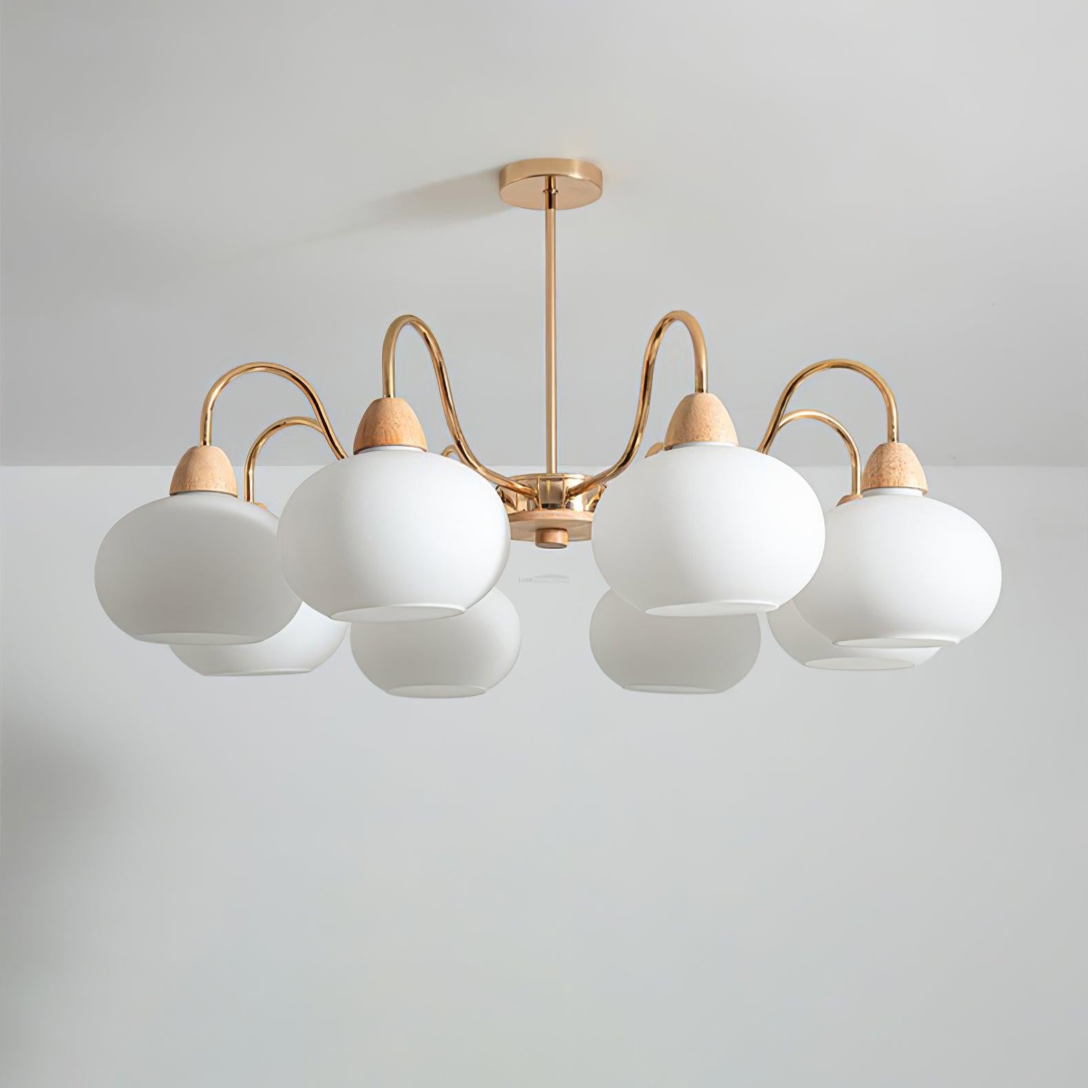 Glass Persimmon Chandelier with 3/5/6/8 heads-Sylvia Space