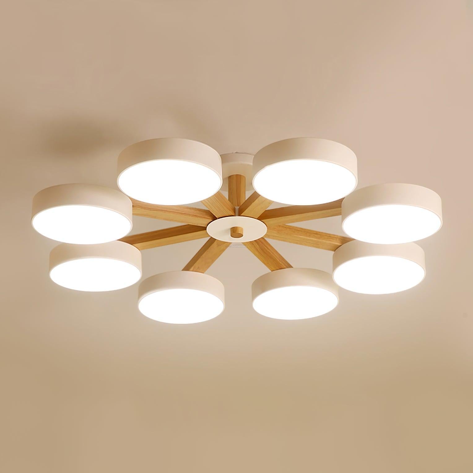 Modern Multi Stem Chandelier with 5/6/8 heads-Sylvia Space