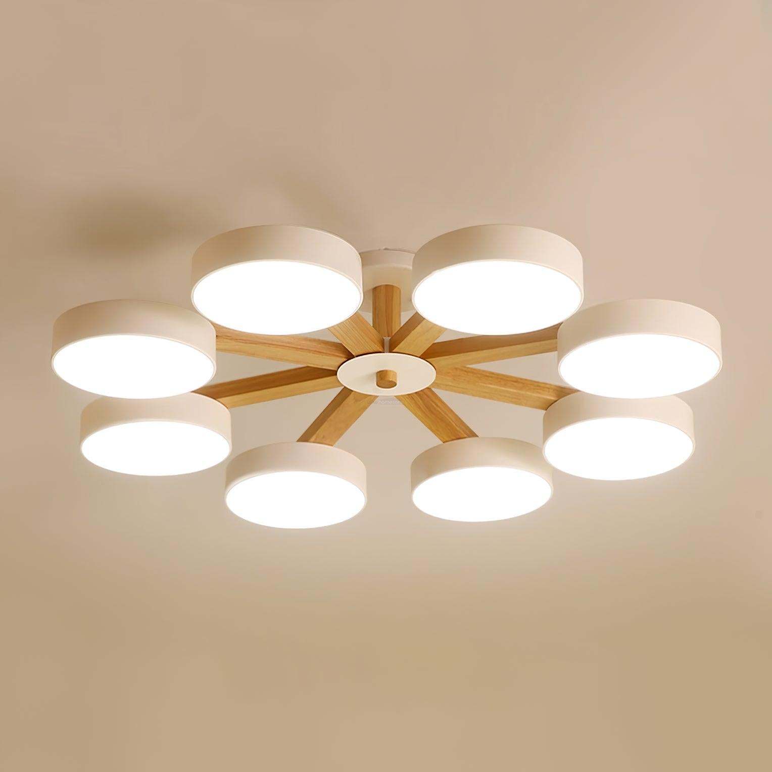 Modern Multi Stem Chandelier with 5/6/8 heads-Sylvia Space