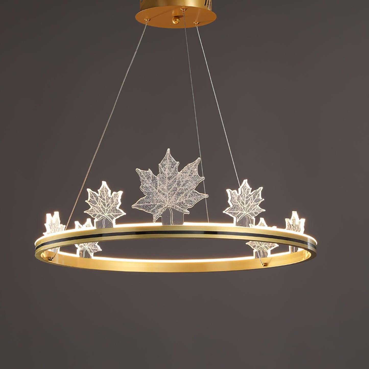 Ion Leaf Ring Chandelier-Sylvia Space