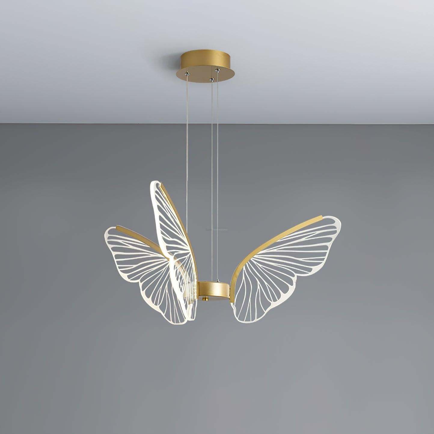 Phalaenopsis Chandelier with 3/6/8 heads-Sylvia Space