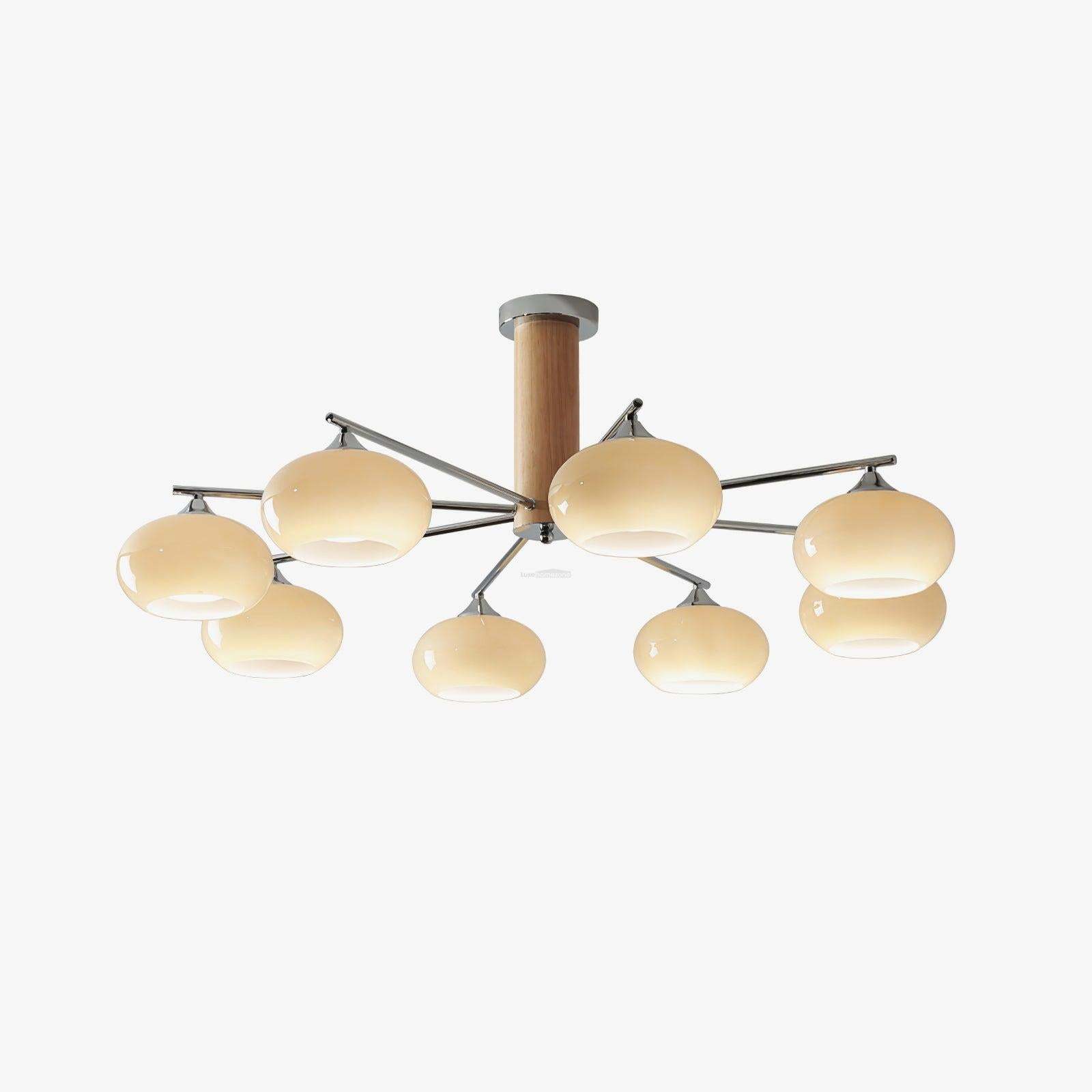 Elliptical Persimmon Chandelier with 3/6/8 heads-Sylvia Space