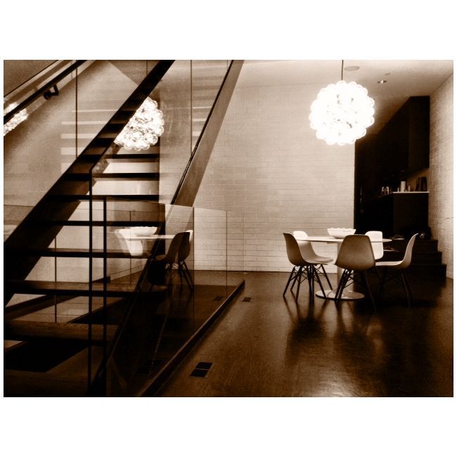 Taraxacum 88 Suspension