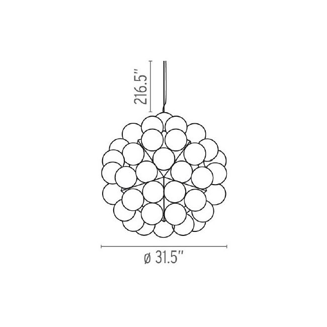 Taraxacum 88 Suspension