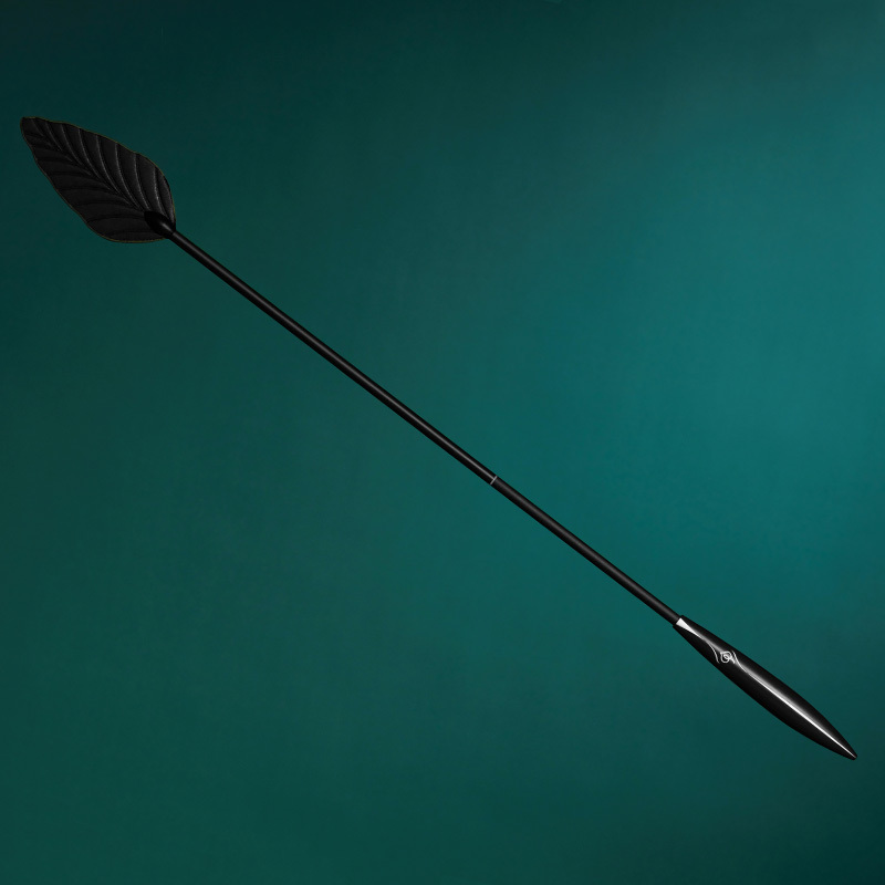 BDSM horsewhip