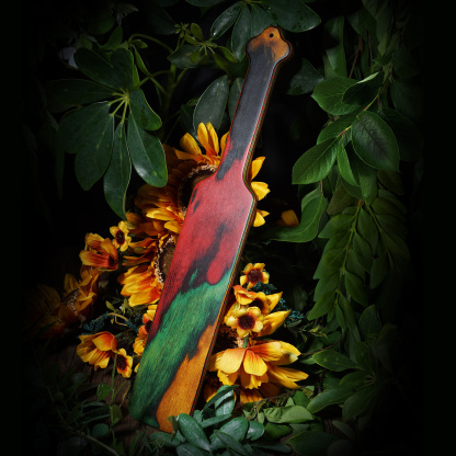 Colored wooden square clapper