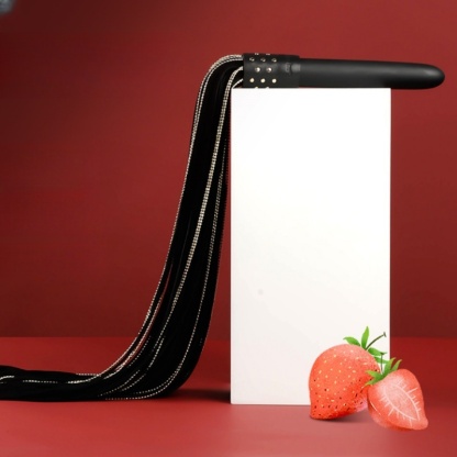 Exclusive item Electric tassel whip