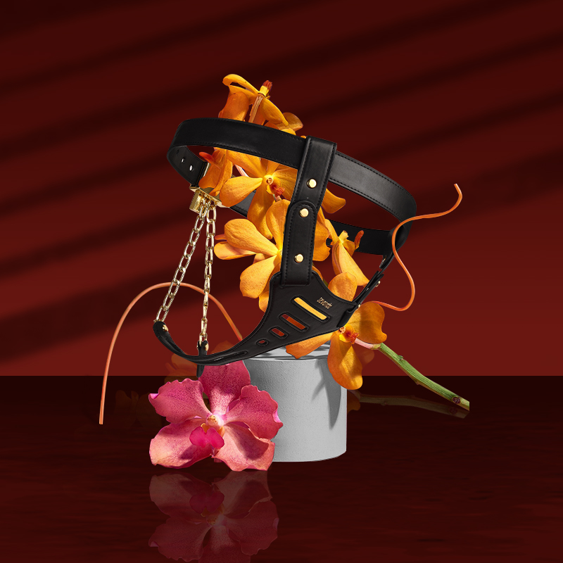 Women's chastity pants for bdsm