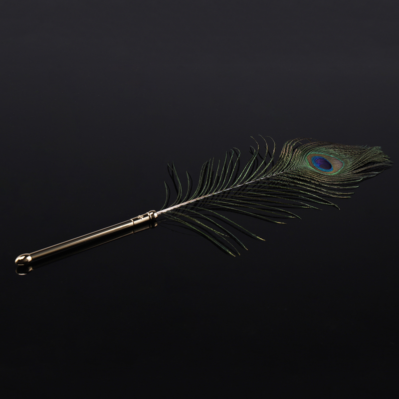 The dream feather used in BDSM flirts with feathers