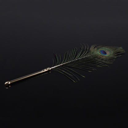 The dream feather used in BDSM flirts with feathers