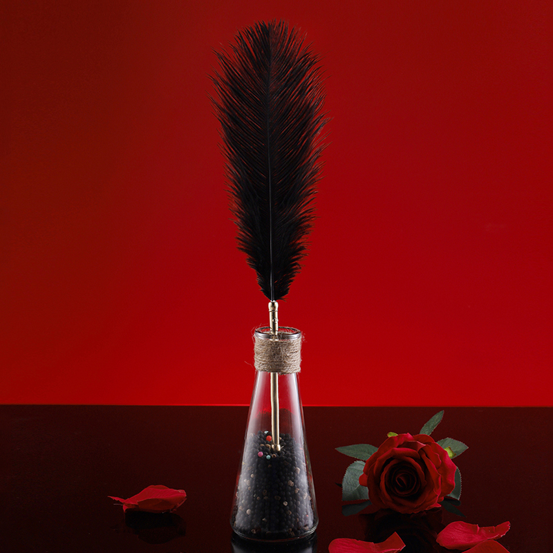 The dream feather used in BDSM flirts with feathers