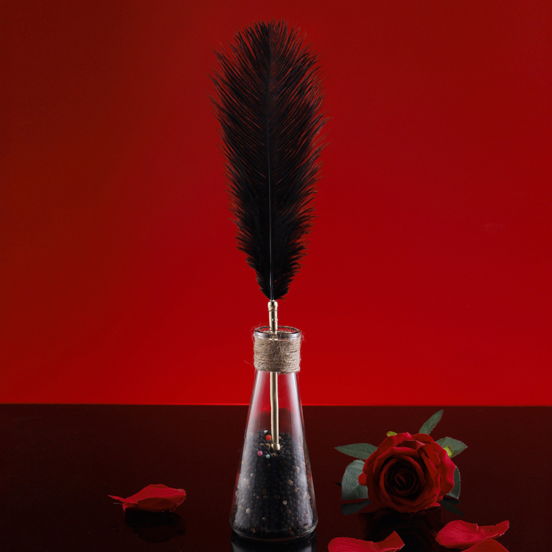 The dream feather used in BDSM flirts with feathers