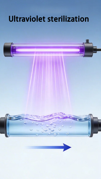 Principle of UV sterilization