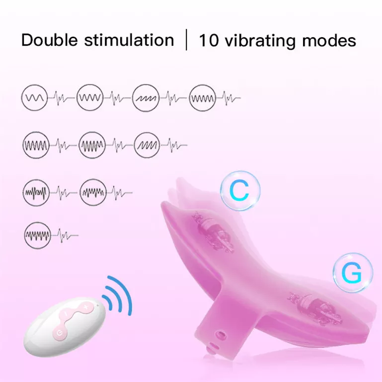 Fantasy Vibrator- remote control couple toys