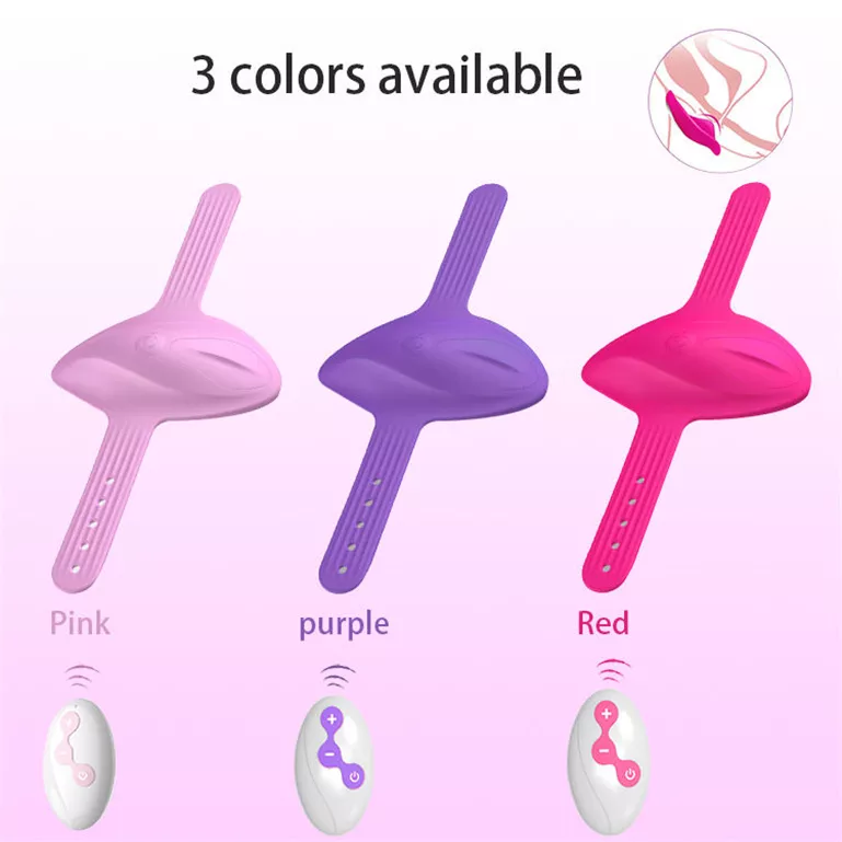 Fantasy Vibrator- remote control couple toys