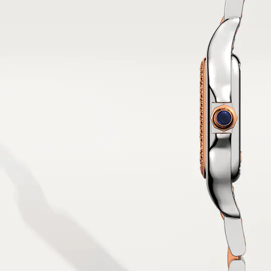 CAR PANTH��RE WATCH 02