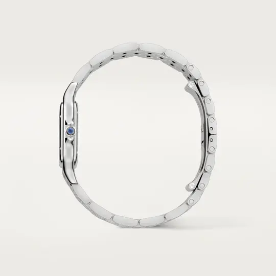 PANTH��RE DE CAR CHEETAH WATCH