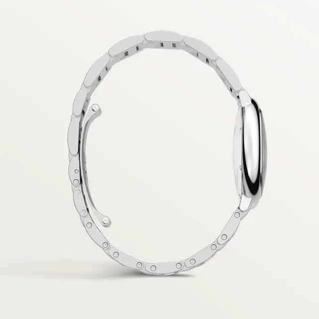 CAR BLUE BALLOON WATCH 33MM STAINLESS STEEL SELF-WINDING Women's watche