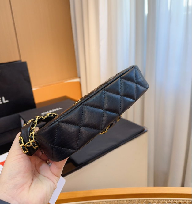 CC Hobo new arrival bag size :23*14cm