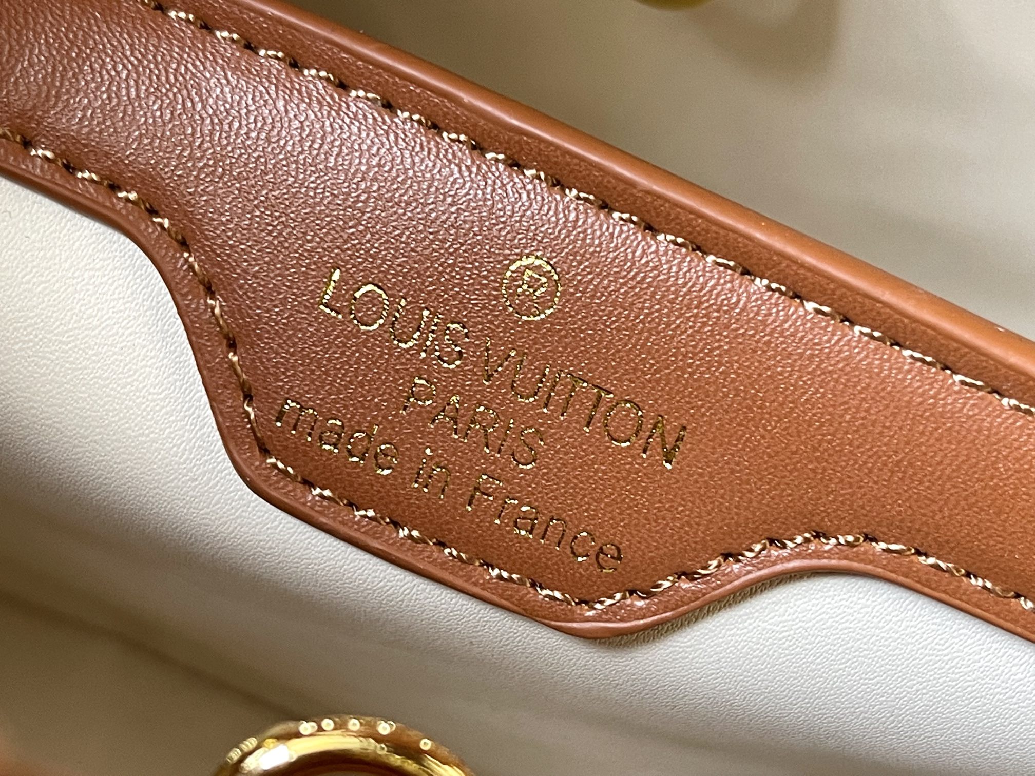 Louis Capucines new arrival bag 03