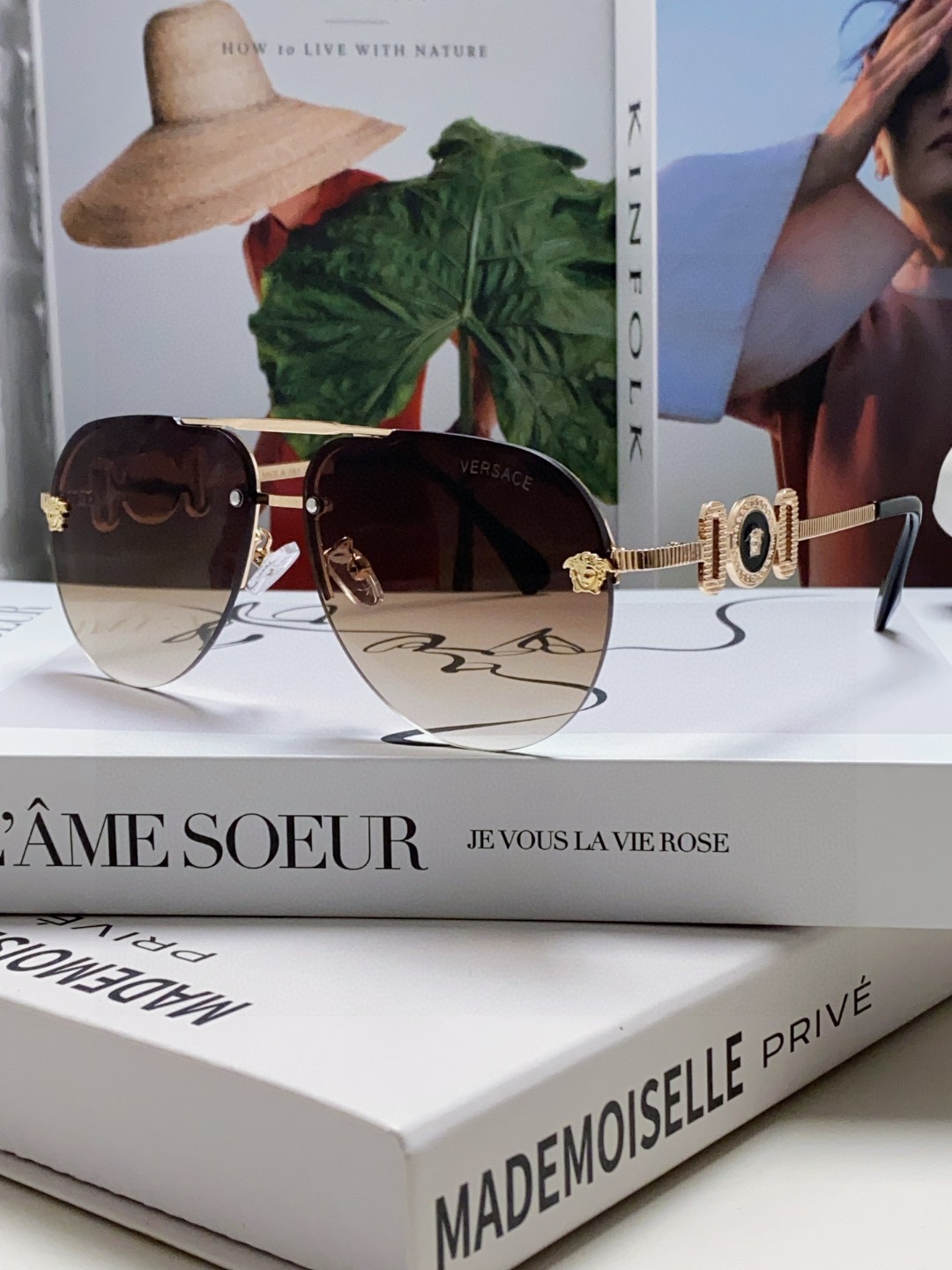 Ver new arrival sunglass 003