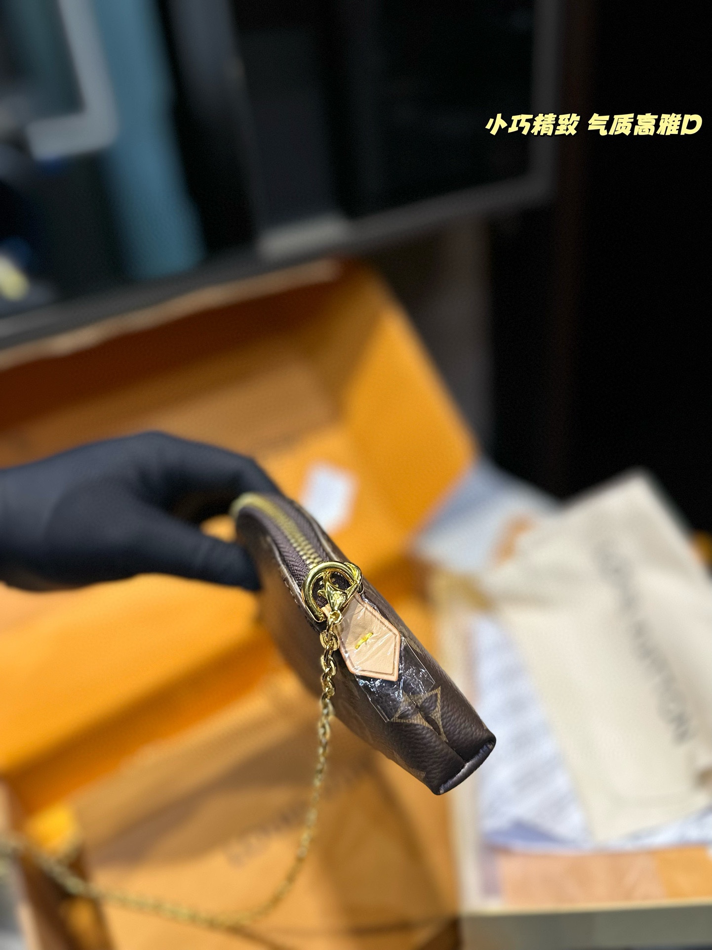 Louis Alma new arrival mini bag size: 24*17 cm