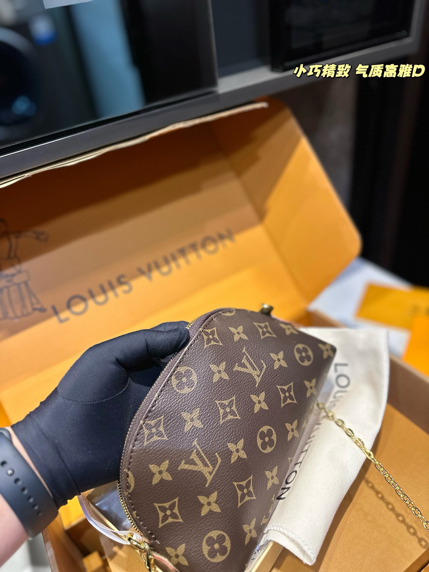 Louis Alma new arrival mini bag size: 24*17 cm