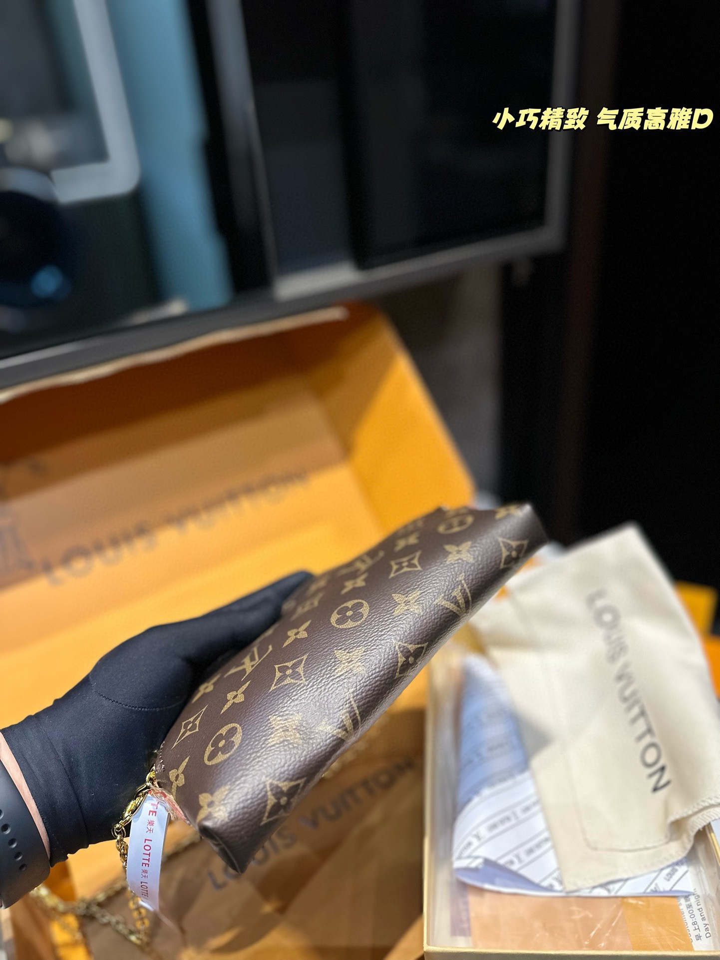 Louis Alma new arrival mini bag size: 24*17 cm