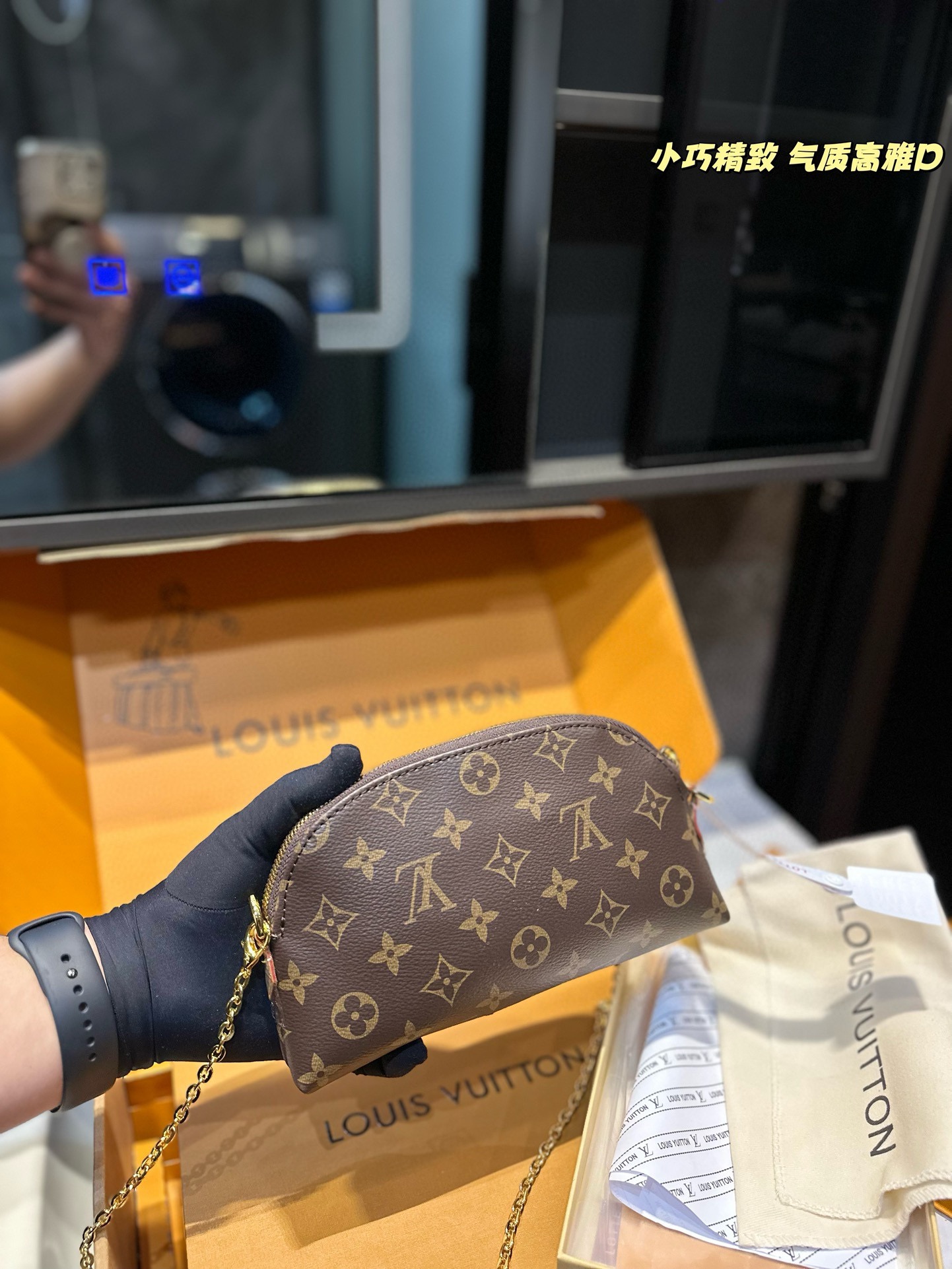 Louis Alma new arrival mini bag size: 24*17 cm