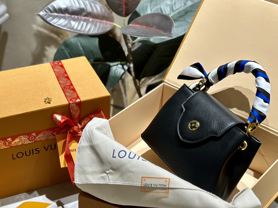 Louis capucines new arrival bag 05