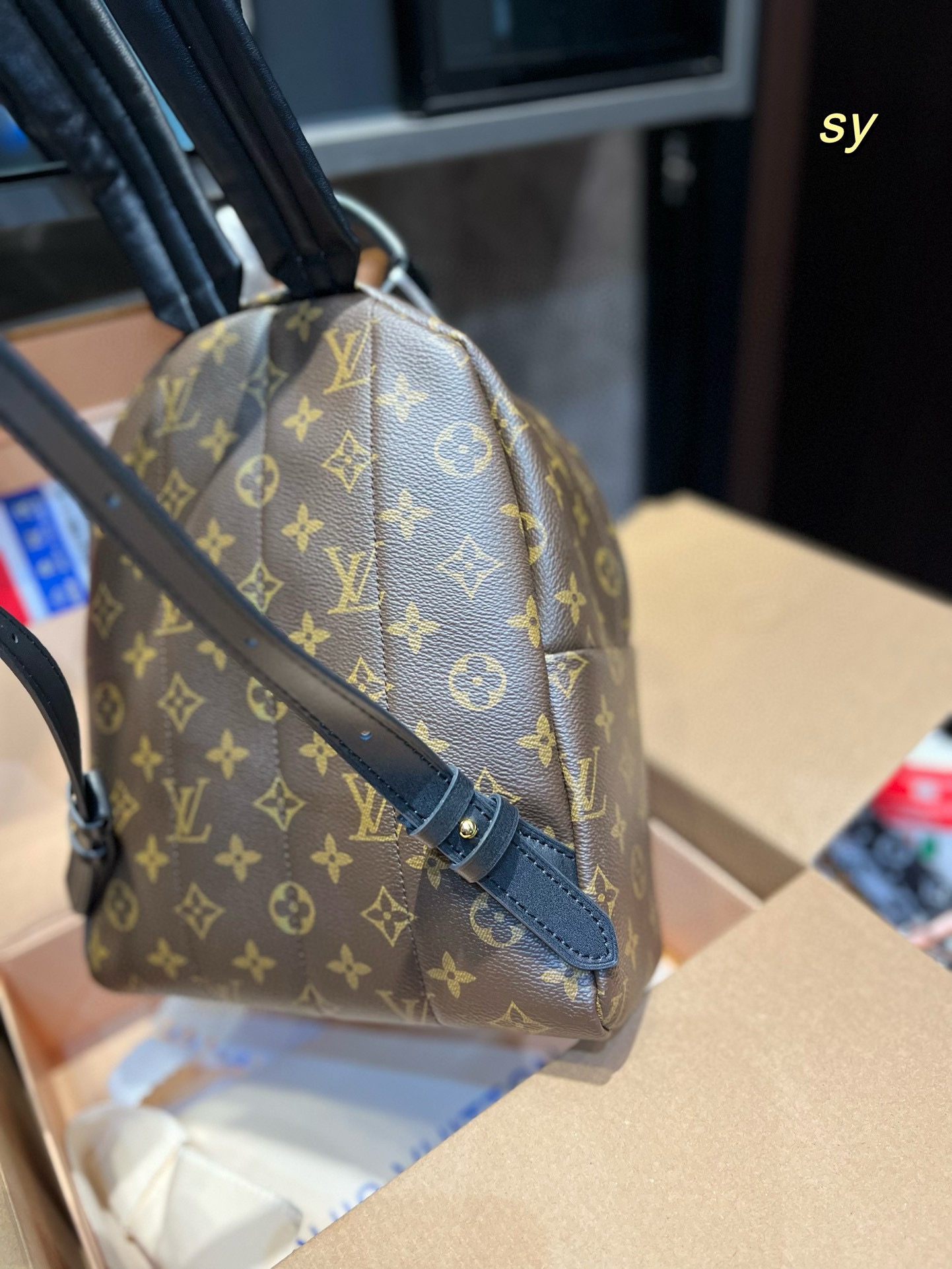 Louis new arrival palm springs mini backpack size: 23*27cm