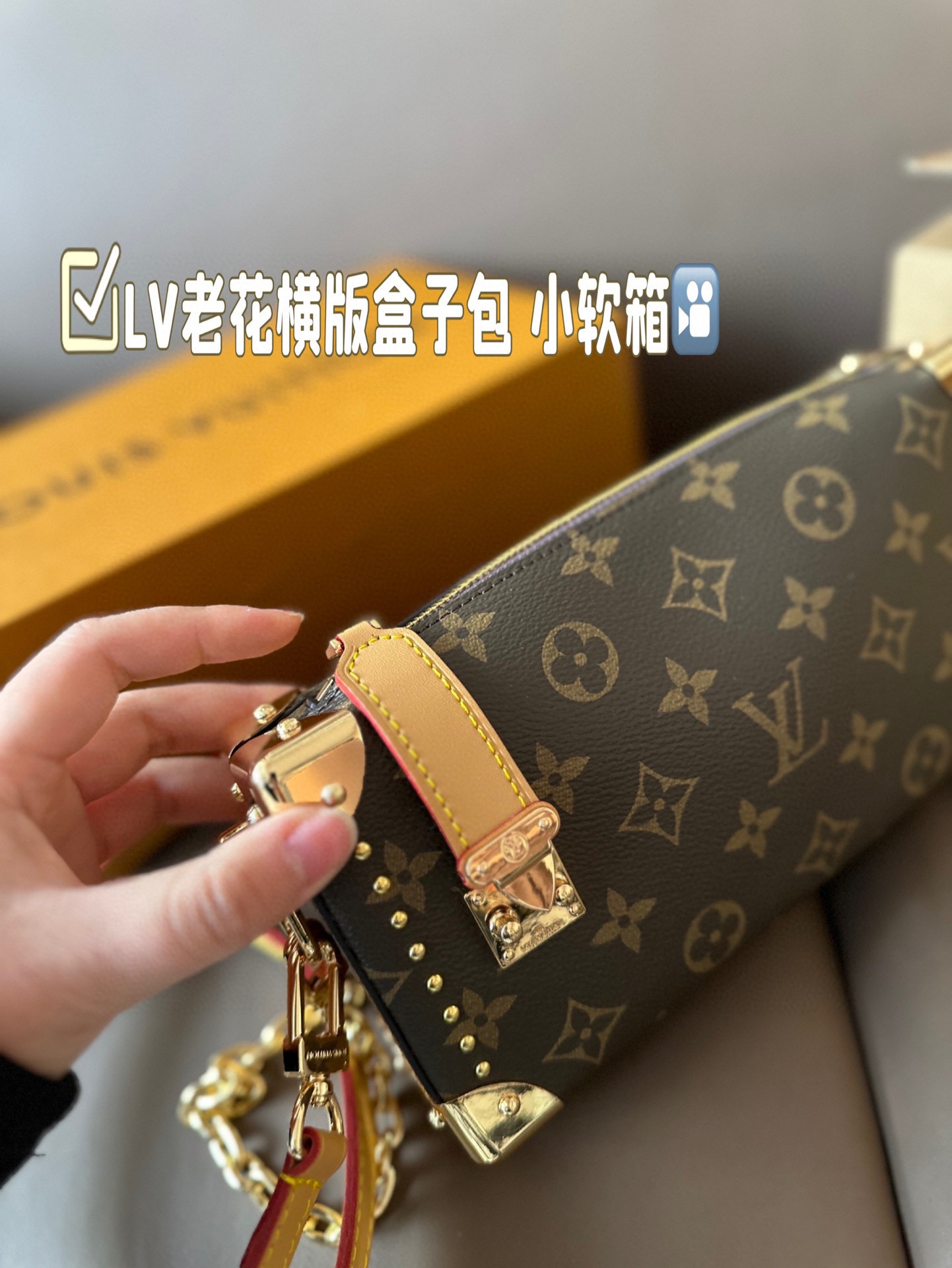Louis new arrival Side Trunk bag size: 23*11 cm