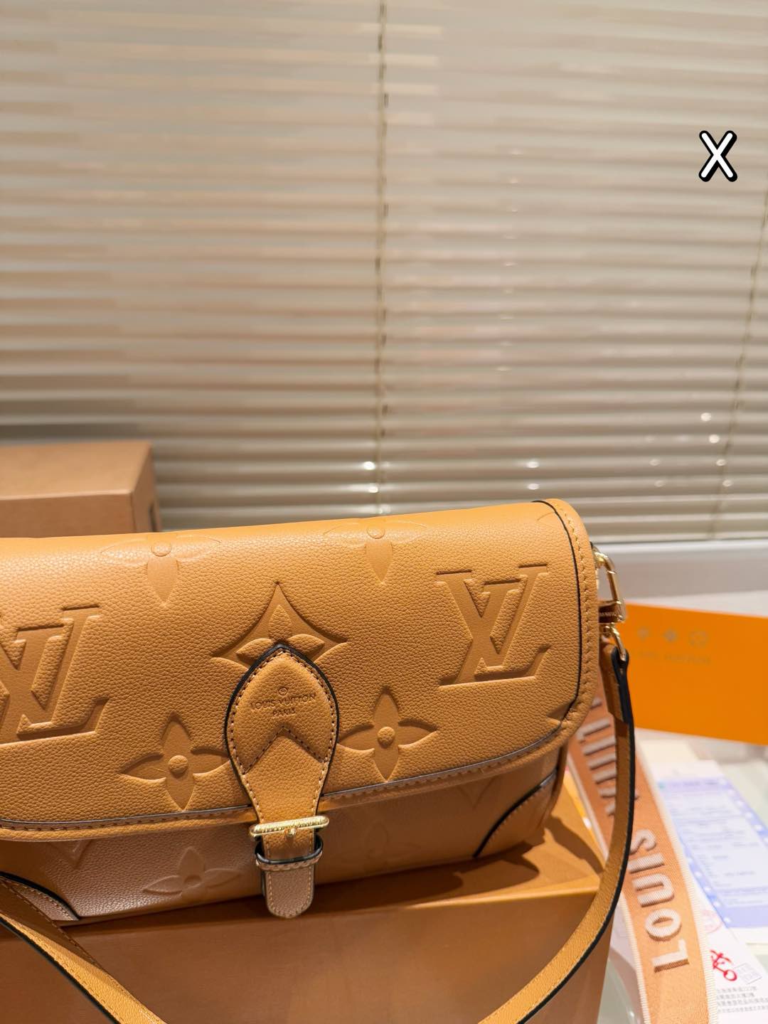 Louis new arrival Diane bag size: 25*15 cm