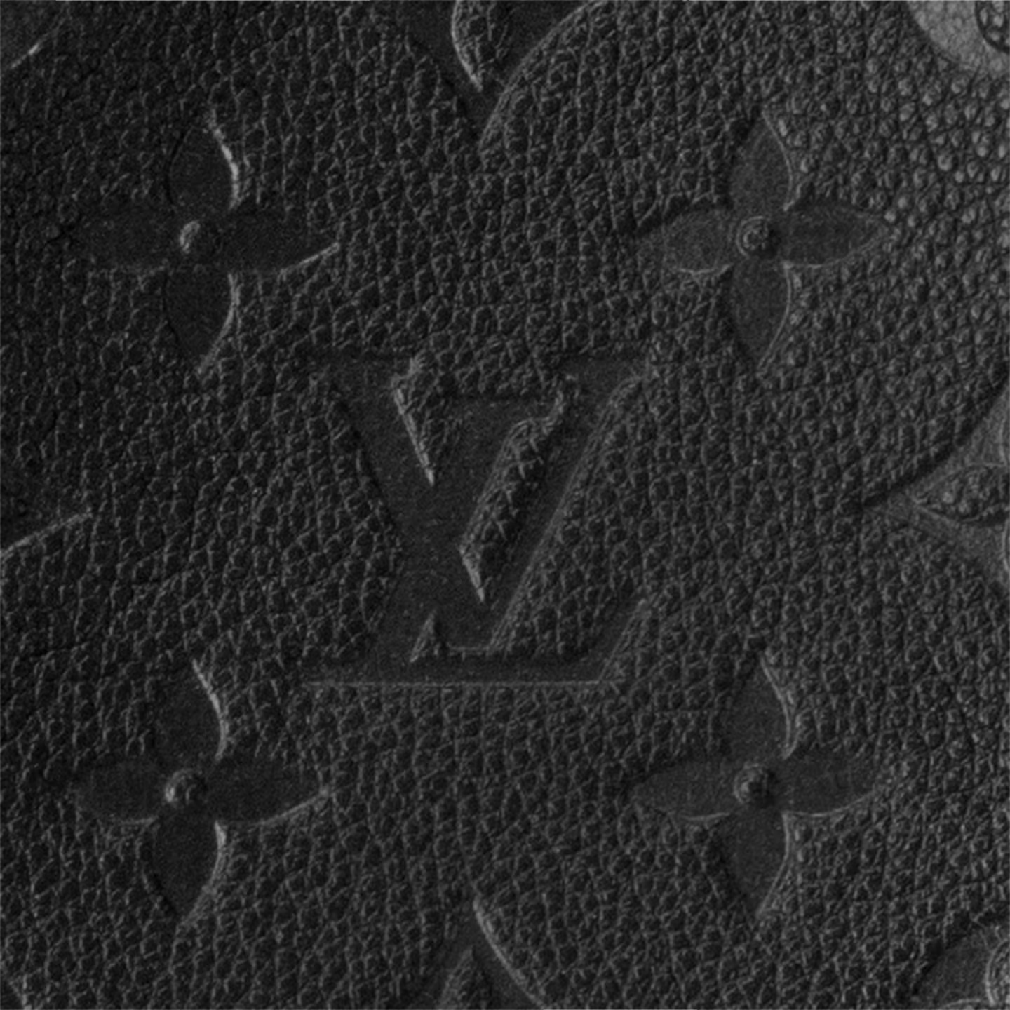 L M45256 Néonoé MM