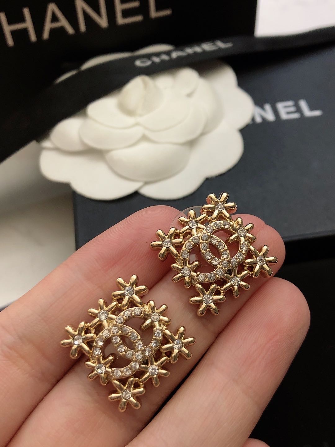 CC Prismatic Double C Earrings