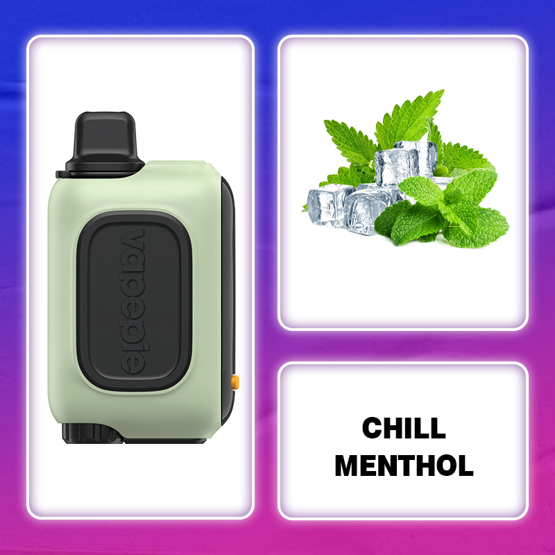đ„Vapepie RO 15000 PUFFS - 10 smakĂłw (Ograniczona dostÄpnoĆÄ! âł)