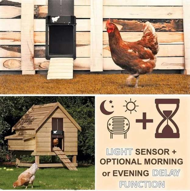 (🎉Flash Sale🎉)-Automatic Chicken Coop Door