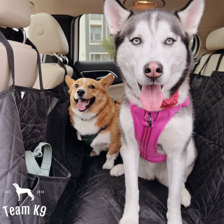 🐶Noua husă de hamac pentru scaunul auto, impermeabilă și antiderapantă, cu buzunare, clapete laterale, curele pentru tetieră, suport pentru scaun și fereastră cu plasă (+ centură de siguranță gratuită!) .