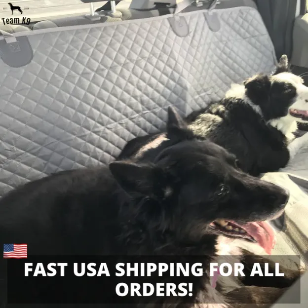 🐶Noua husă de hamac pentru scaunul auto, impermeabilă și antiderapantă, cu buzunare, clapete laterale, curele pentru tetieră, suport pentru scaun și fereastră cu plasă (+ centură de siguranță gratuită!) .