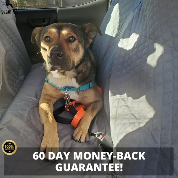🐶Noua husă de hamac pentru scaunul auto, impermeabilă și antiderapantă, cu buzunare, clapete laterale, curele pentru tetieră, suport pentru scaun și fereastră cu plasă (+ centură de siguranță gratuită!) .