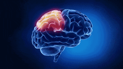 1686905784391131.gif 4edce16d4f4537cec924368121fc67ba.gif