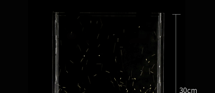 1697102314307657.gif