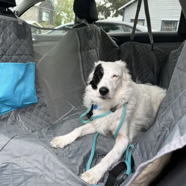 🐶Noua husă de hamac pentru scaunul auto, impermeabilă și antiderapantă, cu buzunare, clapete laterale, curele pentru tetieră, suport pentru scaun și fereastră cu plasă (+ centură de siguranță gratuită!) .