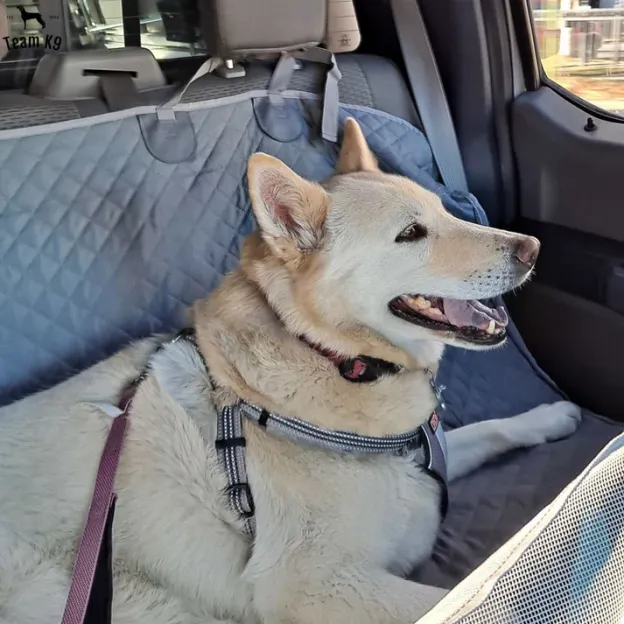 🐶Noua husă de hamac pentru scaunul auto, impermeabilă și antiderapantă, cu buzunare, clapete laterale, curele pentru tetieră, suport pentru scaun și fereastră cu plasă (+ centură de siguranță gratuită!) .