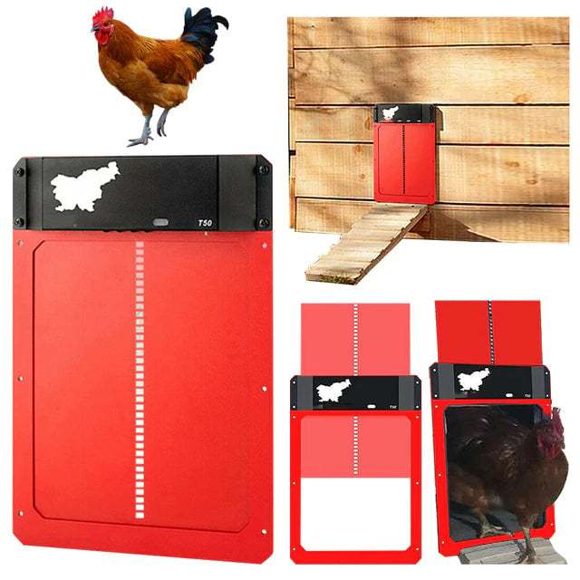 (🎉Flash Sale🎉)-Automatic Chicken Coop Door