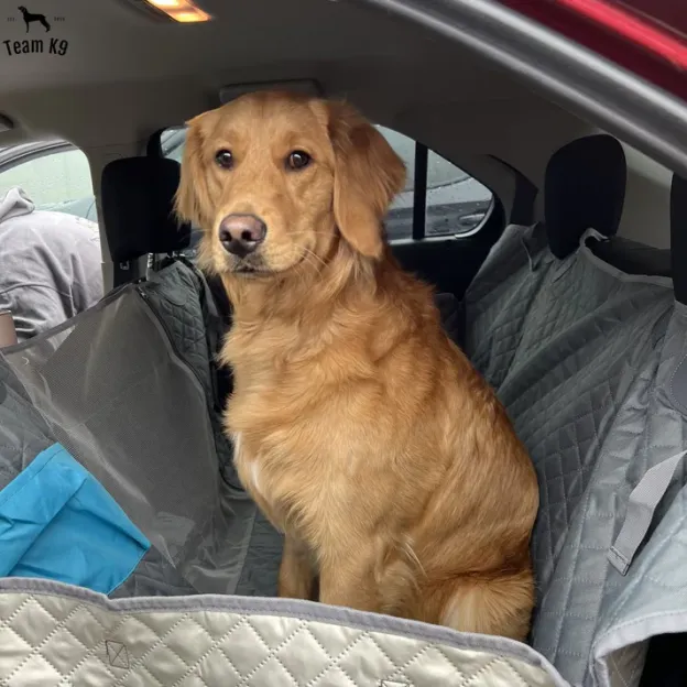 🐶Noua husă de hamac pentru scaunul auto, impermeabilă și antiderapantă, cu buzunare, clapete laterale, curele pentru tetieră, suport pentru scaun și fereastră cu plasă (+ centură de siguranță gratuită!) .
