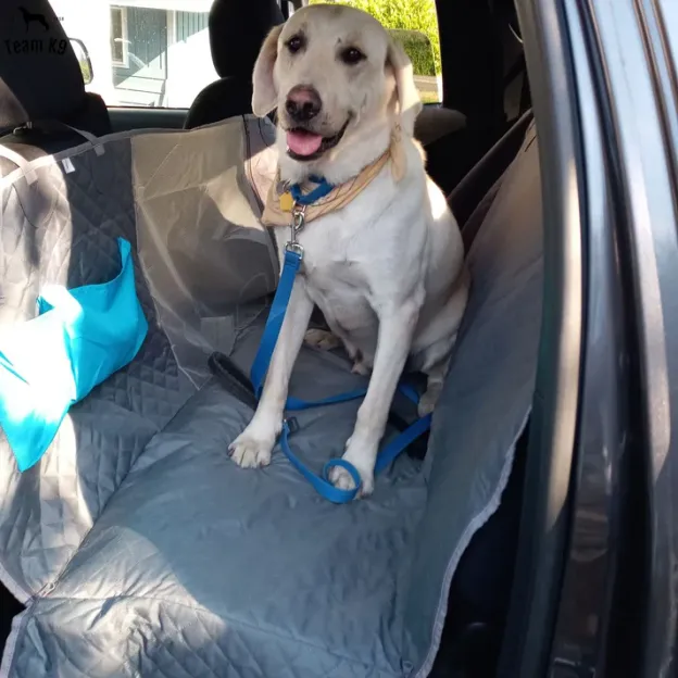 🐶Noua husă de hamac pentru scaunul auto, impermeabilă și antiderapantă, cu buzunare, clapete laterale, curele pentru tetieră, suport pentru scaun și fereastră cu plasă (+ centură de siguranță gratuită!) .