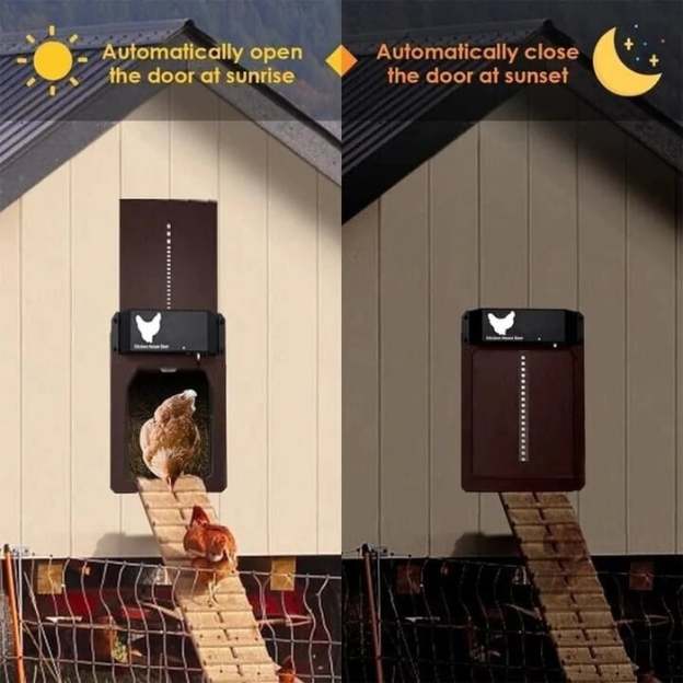 (🎉Flash Sale🎉)-Automatic Chicken Coop Door